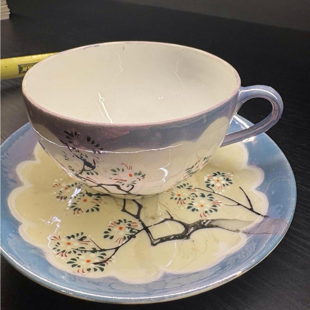 LUSTERWARE JAPAN DOGWOOD TEACUP AND SAUCER. $30
FREE SHIPPING.